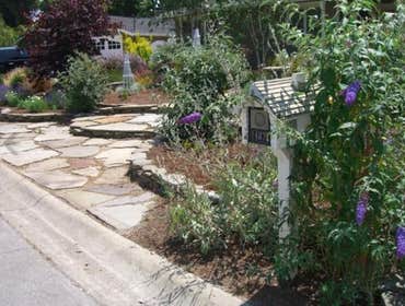 Photos from Ben Ruiz Tree And Landscaping Contractor