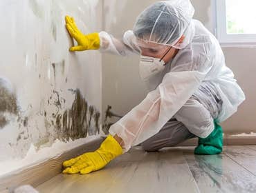 Photos by Restoremasters Water Damage & Fire Restoration #1