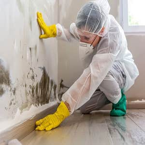 Photos by Restoremasters Water Damage & Fire Restoration #1