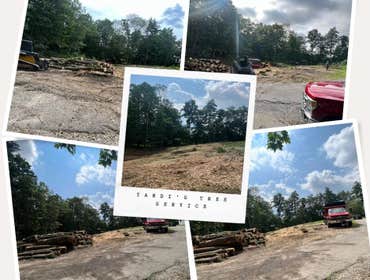 Photos by Yandi's Tree Service #20