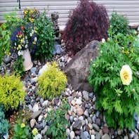 Photos by Amigos Lawn Care & Tree Services #1