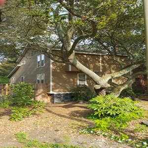 Photos from Colorscapes Custom Painting Llc