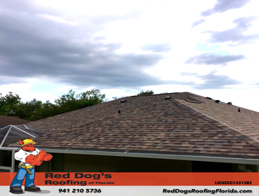 Photos by Red dog's Roofing of Florida #1