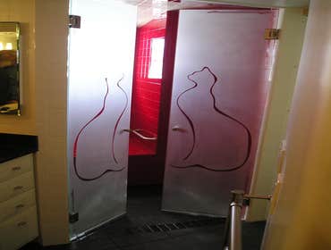 Frameless Shower Doors