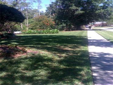 Landscaping We have a knowledgeable staff that is equipped to maintain your properties and service your needs from top to bottom. We are a complete in-