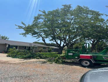 Photos by Discovery Tree Care, Inc #6