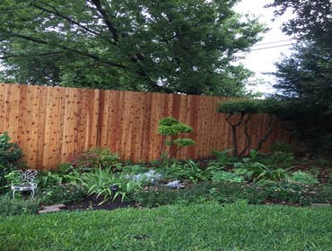 8' Cedar Fence with 10' steel poles