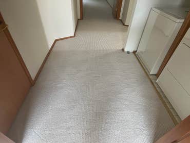Photos by Gus's Premium Carpets Inc #1