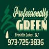 Professionally Green LLC logo