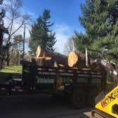 Photos by El Tule Tree Services LLC #4