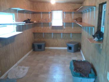 Sk Repairs And Renovations Project 4 Pet Enclosures