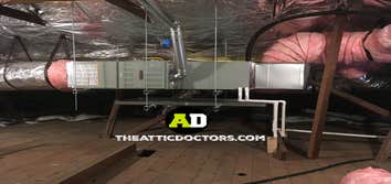 the Attic Doctors