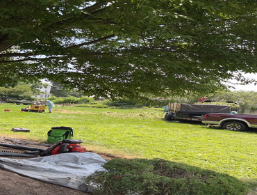 tree grinding / tree work