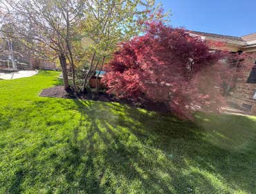 Photos by Beauty Meister Landscaping LLC #2