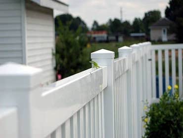 Fences
