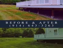 Before and After