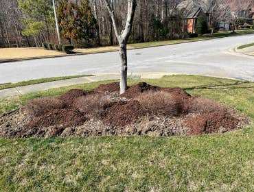 Photos by Neighborhood Lawn Service #2