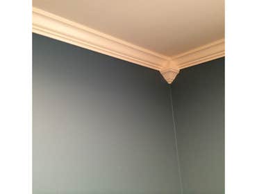 Photo(s) from KnockOut Painting and Construction Some of our many finished projects!