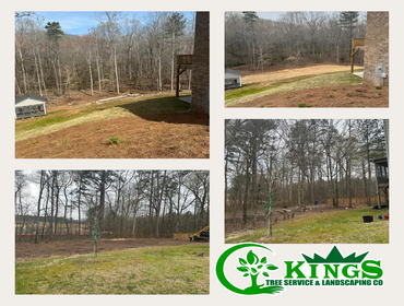Photos by Kings Tree Service & Landscaping Co #13