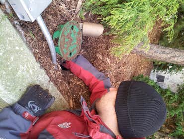 New York Plantings Irrigation