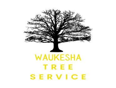 Photos by Waukesha Tree Service #1
