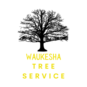 Photos by Waukesha Tree Service #1