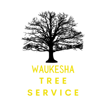 Photos by Waukesha Tree Service #1