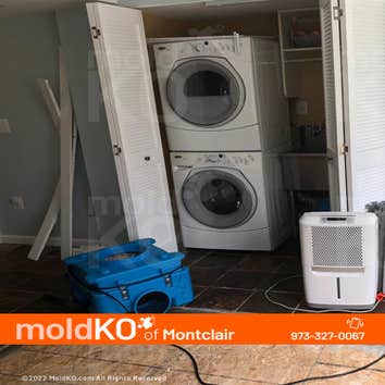 Mold Ko of Montclair