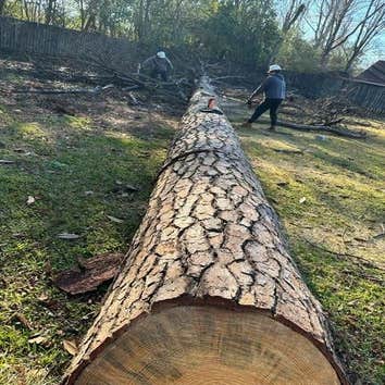 Santana Tree Service LLC