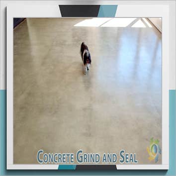CONCRETE FLOOR GRING AND SEAL