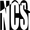 Northside Construction Services Inc logo