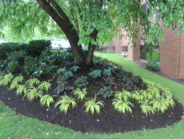 Commercial Project-Atrium King of Prussia