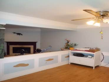 Photos from Closet Prep and Paint LLC Painting: Interior/Exterior. Residential/Commercial. Home, Office, Rental Property
• Custom painting
• Accent w