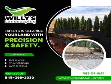 Photos by Willy's Landscaping #11