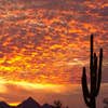 Desert Sky Surfaces LLC logo