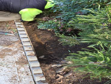 Photos by Mv Top Landscaper LLC #1