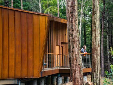 BETTER PLACE FORESTS – MENDOCINO