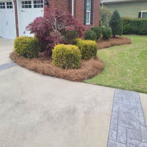 Photos by Dominguez Lawn Care #1