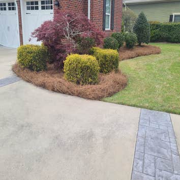Photos by Dominguez Lawn Care #1