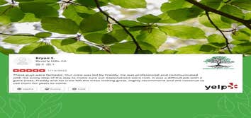 California Green Tree Care