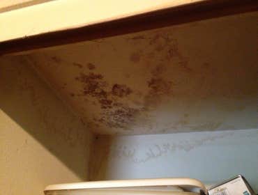 Photo(s) from United Restoration & Construction Inc