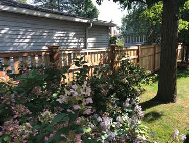 Fences