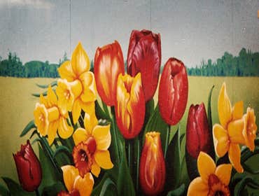 Photos from Brian Kenyon Art Studio Incorporated