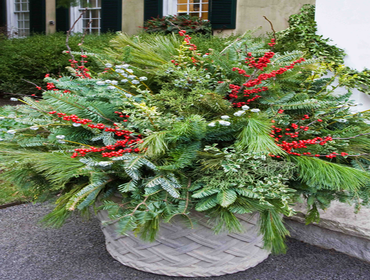 Photos by Nyc Tree Pit Services #1
