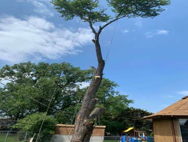 Photos by Sunnyview Landscaping #1