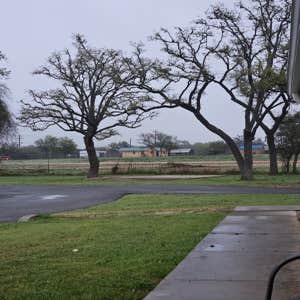 Photos by Tree Service Santos #7