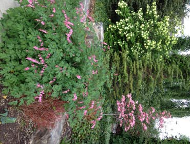 Larkin Landscaping Our landscape services entail total Installation of sprinkler systems, concrete work, water features, fire-pits, retaining walls, pa