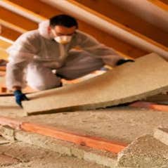 Classic Pest Control & Insulation