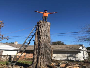 Photos by K-perez Tree Services #1