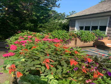 Photos by Peconic Garden and Landscaping #12
